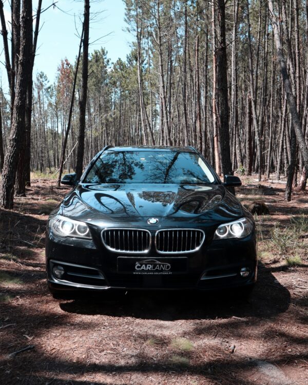 BMW 525D High Executive - Afbeelding 2