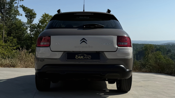 Citroën C4 Cactus - Afbeelding 6
