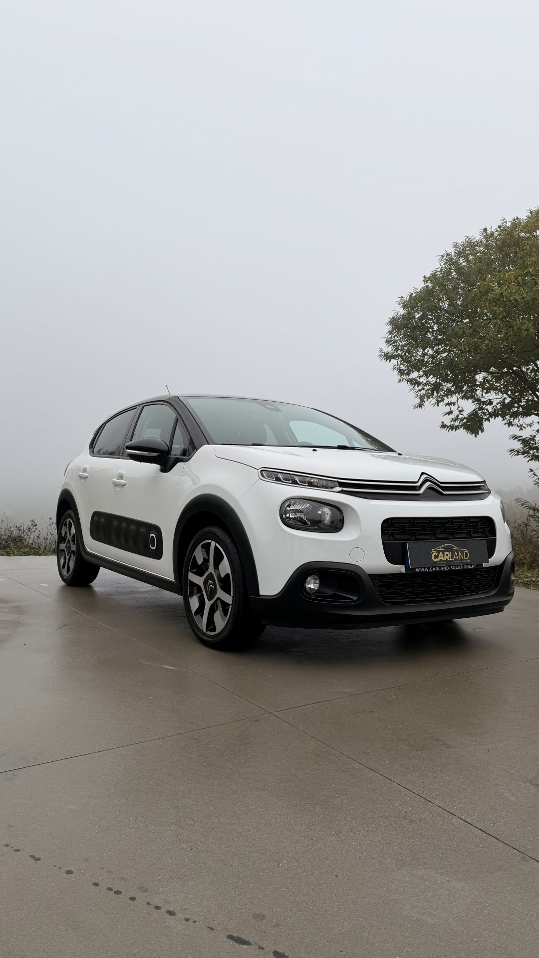 Citroen C3 PureTech Glänzend